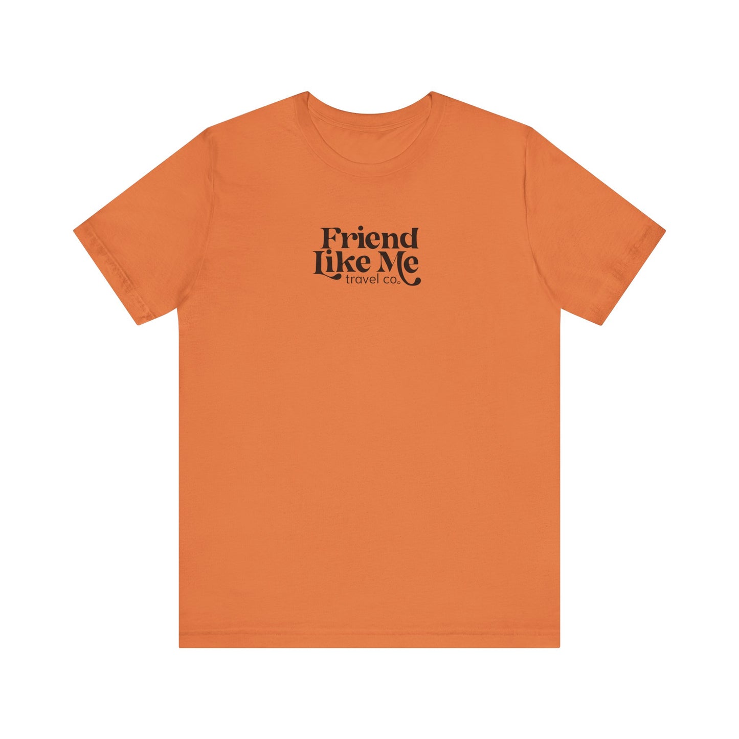 Friend Like Me Unisex Jersey Tee - Bella+Canvas