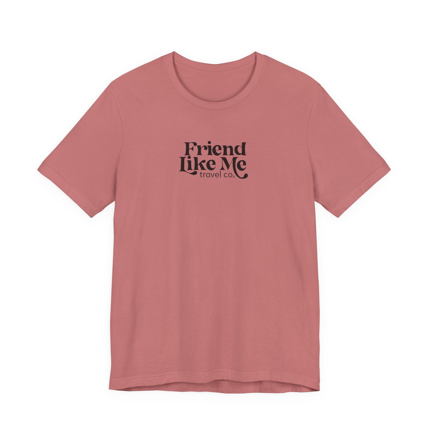 Friend Like Me Unisex Jersey Tee - Bella+Canvas