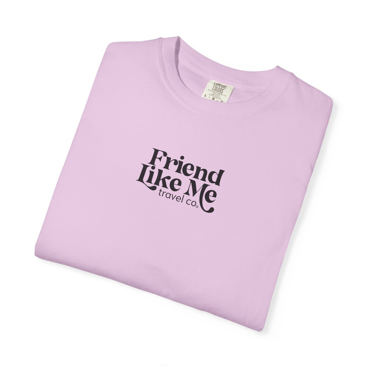 Friend Like Me Unisex Tee - Comfort Colors